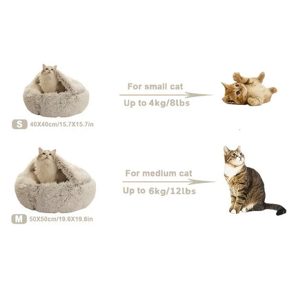 Shell Semi Enclosed Cat Bed